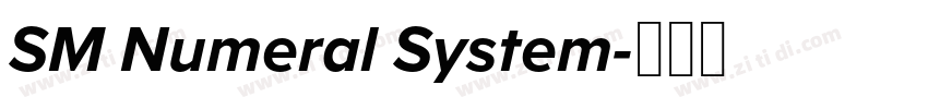 SM Numeral System字体转换 SM Numeral System字体转换